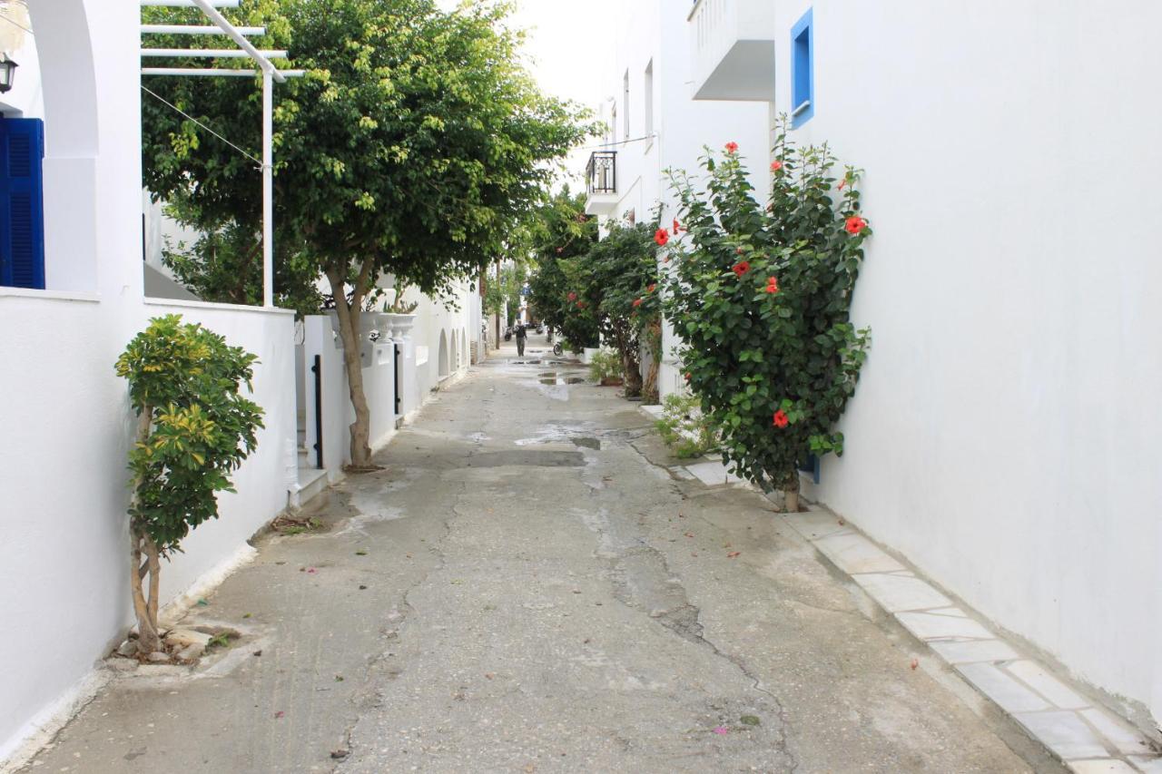 Vasilikos Studios Naxos City エクステリア 写真